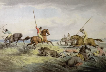 The Hog Chase – The Kill, az Orme
