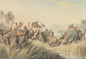 A sarokba szorított tigris: illusztráció Thomas Williamson kapitány „Oriental Field Sports” című művéhez