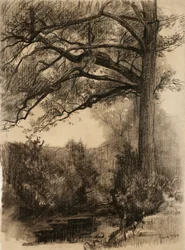 Táj nagy fával, 1884 (szén, sima papíron)