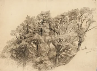 Táj fákkal, 1884 (szén, sima papírra)