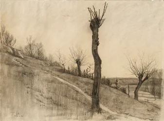 Késő téli táj, 1884 (szén, sima papírra)