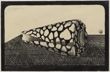 Shell, balra