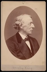 Horatio király portréja 1811-1897, 1876-1880 között.