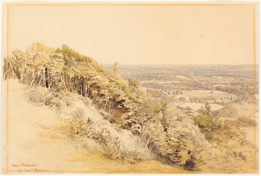 Kilátás Wilmots Hillről, Kent