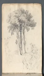 Vázlatfüzet: Fatanulmány, 1814.