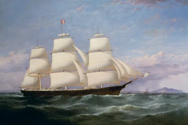 A Baltimore Clippership „Carrier Dove”