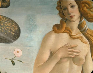 A Vénusz születése (Venus Anadyomene)