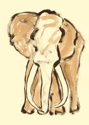 Expresszív elefántvázlat