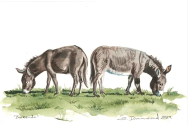 Könyvtámasz, 2024 (akvarell, papír)