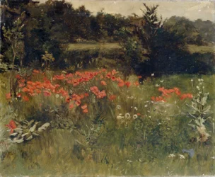 Pipacsok, Reigate
