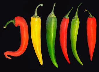 Öt chili, 2024 (olaj, vászon)