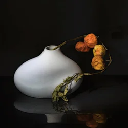 Elegáns lampionvirágcsendélet