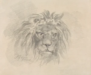 Oroszlán feje