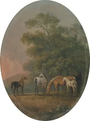 Kancák és csikók, 1770-80 körül (olaj, fém)