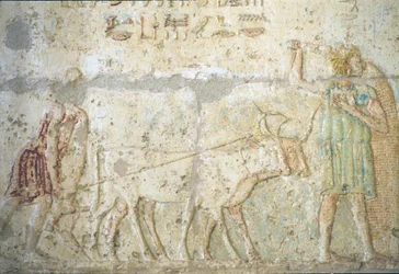 Ókori Egyiptom, falfestmény, Petosiris sírja, Tuna el Gebel, Kr. e. 300, szántás és vetés (fotó)
