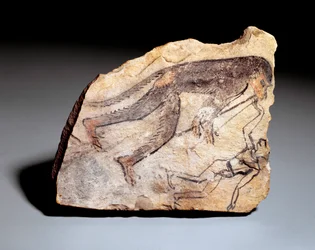Ostrakon figura: majom dupla furulyán (aulos), hogy táncra perdítse az embert. Deir el-Medineh lelőhelyéről (mészkő, kb. 1295-1186)
