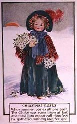 karácsonyi rózsák