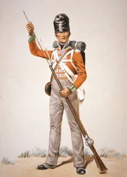 Wellington hadserege: a 69. láb katonája „Brown Bess” muskétáját tölti 1815-ben (színes litó)