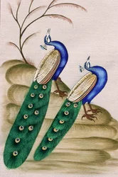 Miniatúrafestmény papíron: páva