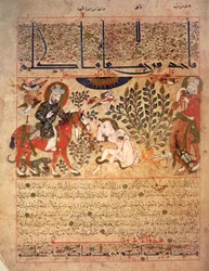 Egy embert megszúr egy kígyó, Illusztráció a „Kitab al-Diryaq” ellenszerek könyvéből, Pseudo-Gallen (vellum)