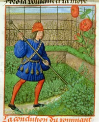 Harl 4425 f.184v A szerető megkapja a rózsát, a 