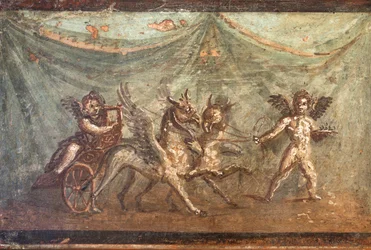 Kupidák és griffek által húzott szekér, Herculaneum