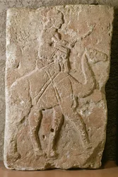 Megkönnyebbülés Dromedary Riderrel