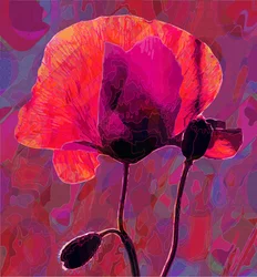 Poppy20, 2020