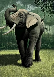 A dzsungel könyve, 2006 (scratchboard, digitálisan színezve)