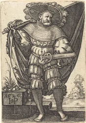 Szabványhordozó