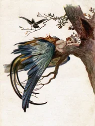 Irodalom. Tündérmesék. A kék madár. Illusztráció: J. Solomko, Csehország