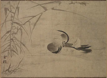 Mandarin kacsa