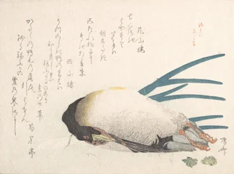 Tavaszi esőkollekció Harusame shu, vol. 1: Kacsa és mogyoróhagyma, 1810-es évek, 1810-es évek.