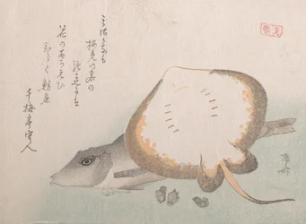 Stingray és Gurnard, valószínűleg 1815., valószínűleg 1815.