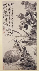 Hibiszkusz, lótusz és szikla, kb. 1705-7.