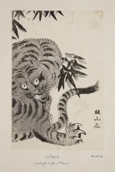 Tigris (színes fatömbnyomat)