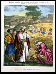 Ruth Boáz mezején, Edward Gover által nyomtatott bibliából, 1870-es évek