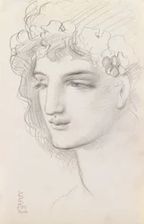 Füzéres fej tanulmánya, 1867
