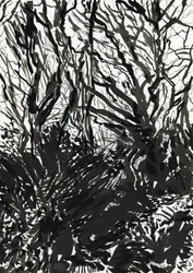 Ham Common Woods (tinta és grafit, papír)