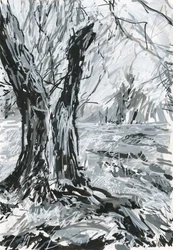 Öreg fa, Richmond Park (akrilfesték, toll és tinta, papír)