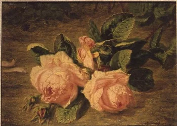 Rózsaszín rózsák