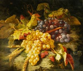 Szőlő, szakállas búza és eper egy sziklás párkányon, 1849