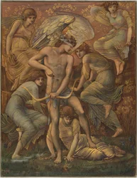 Cupido vadászmezői