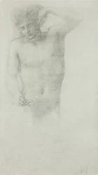 Férfi akt