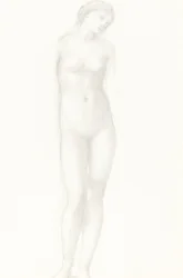 Vénusz