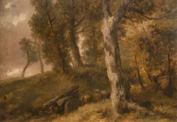 Tanulmány a fákról, 1874.