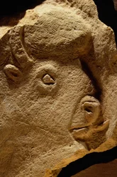 Bas-Relief szobor egy bölény, mészkő tizenhatezer éves.