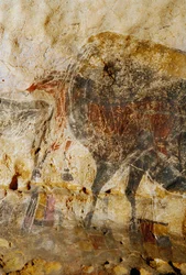 Részlet lófejeket ábrázoló metszett festményről, Lascaux.