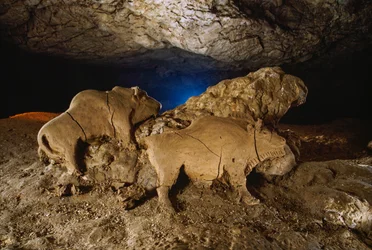 A Le Tuc dâ™Audoubert-i Clay Bisons