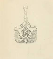 Medence